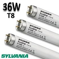 Tube fluo 36W éclairage viande - Sylvania Foodstar 36W/176
